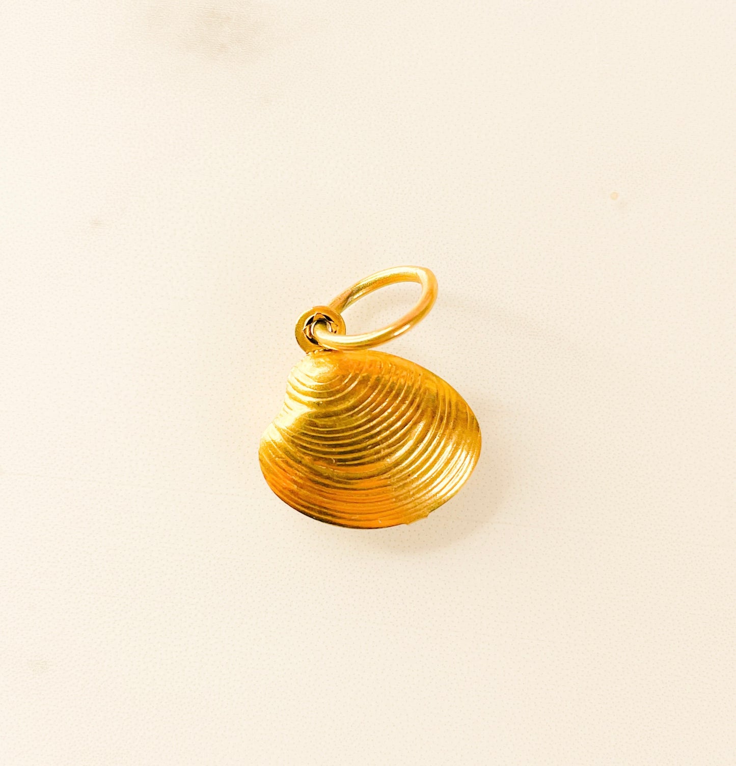 Coquillage